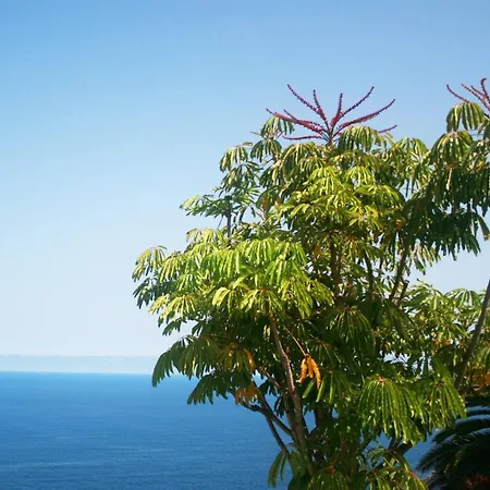 公寓 Paraiso Tranquilidad Vistas Mar Y Teide *