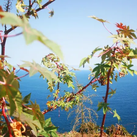 Paraiso Tranquilidad Vistas Mar Y Teide Daire