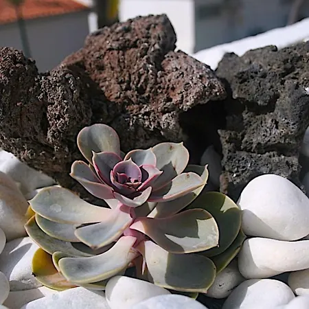 Paraiso Tranquilidad Vistas Mar Y Teide Daire