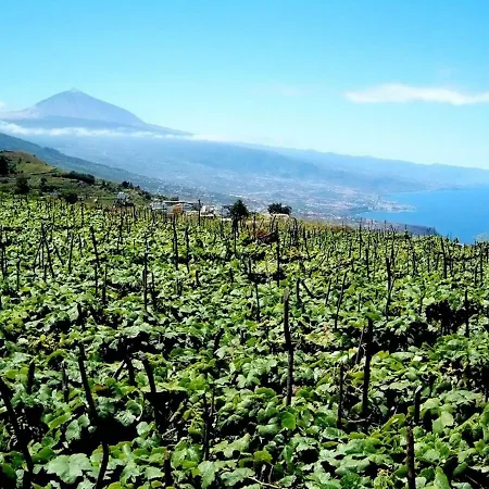 Paraiso Tranquilidad Vistas Mar Y Teide *